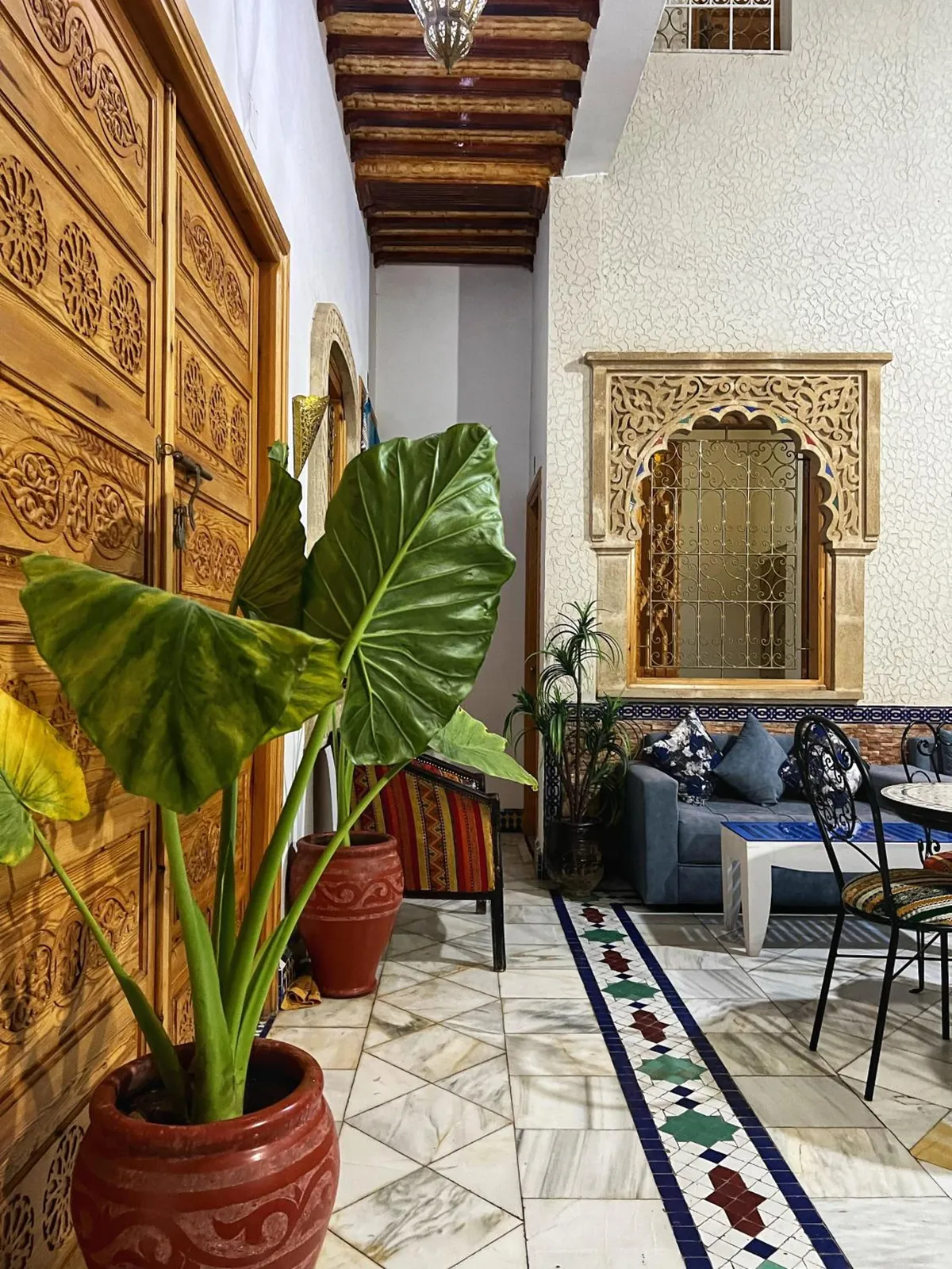 Une plante devant une fenêtre sculptée du patio