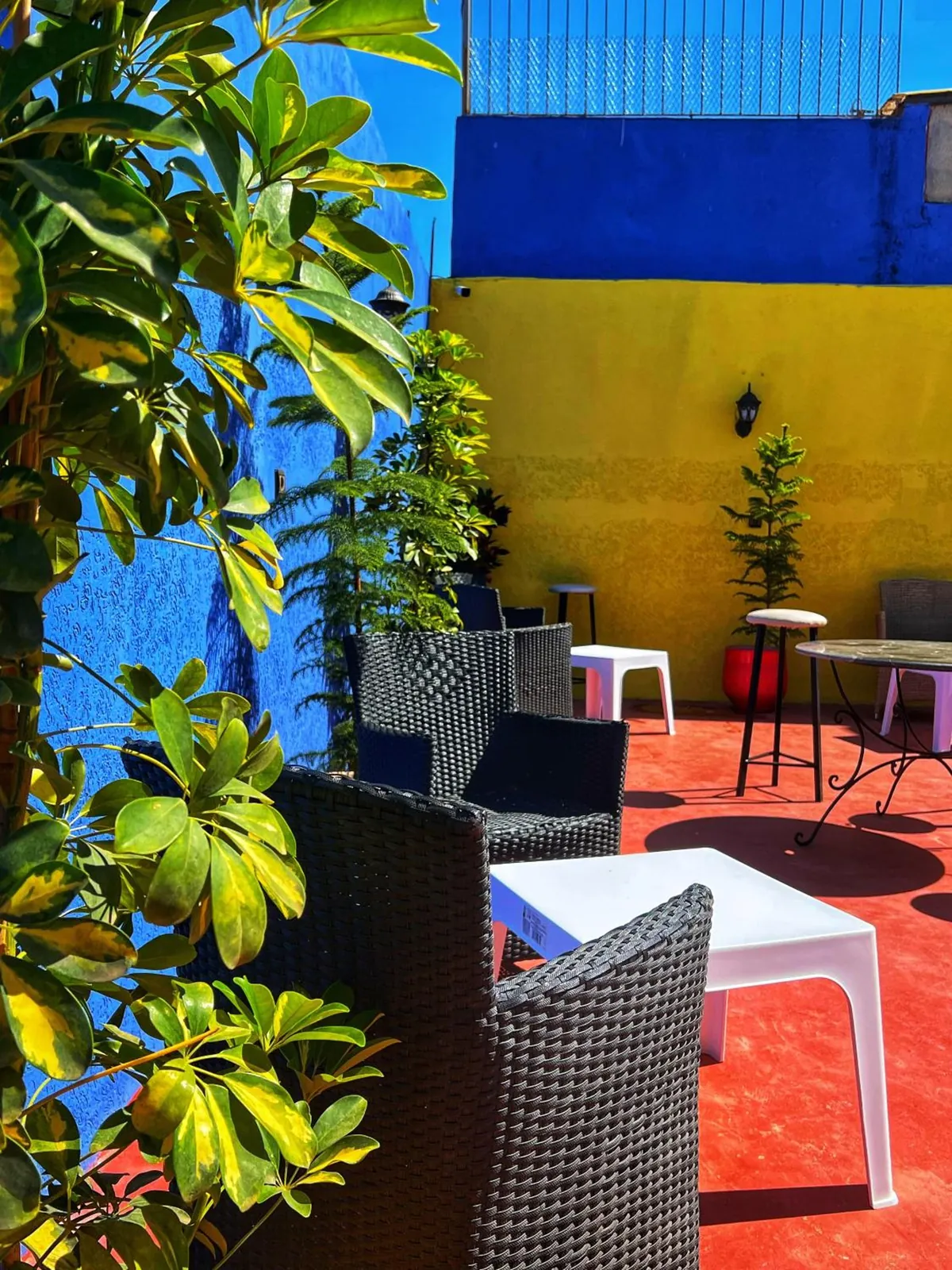 The terrace in daylight