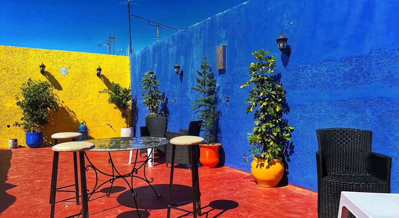The terrace, high tables and plants