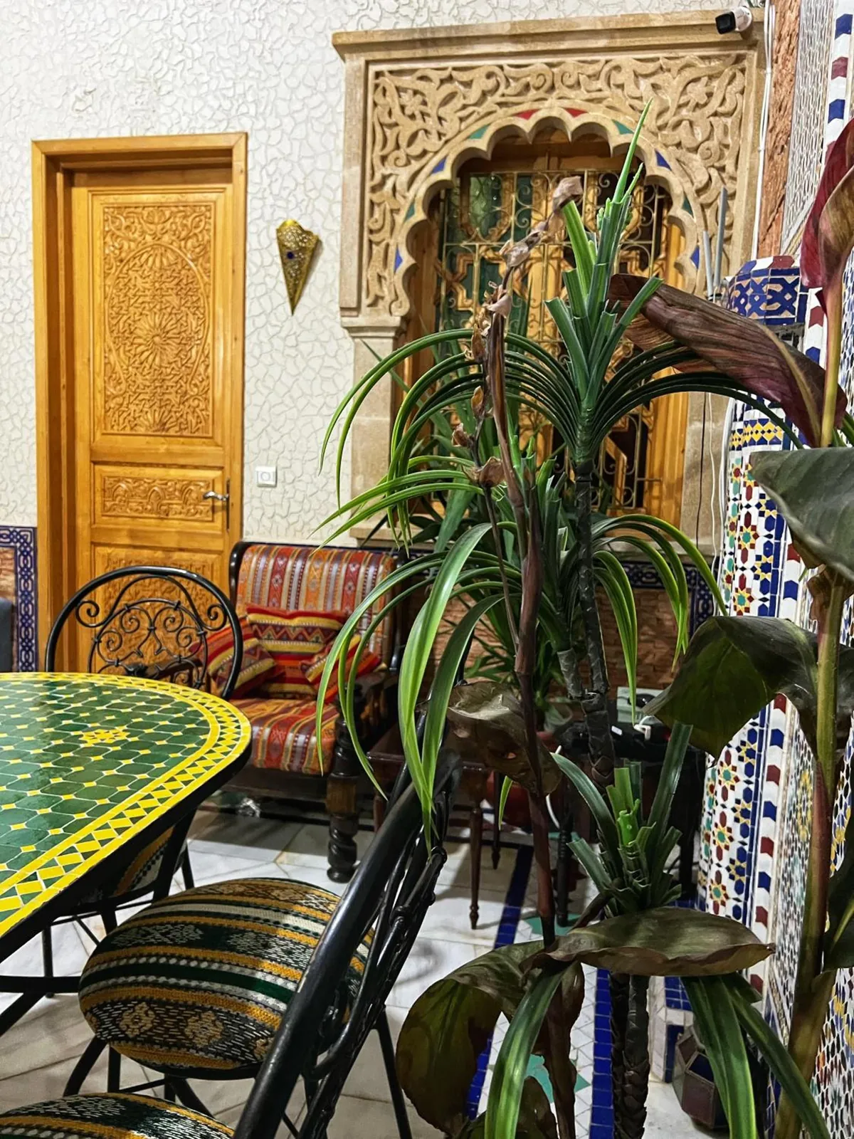 A corner of the patio, zellige table and plants